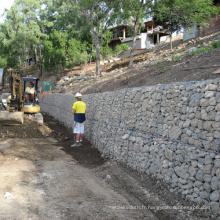 Approvisionnement diverses tailles de panier de Gabion de Chine (GBS)